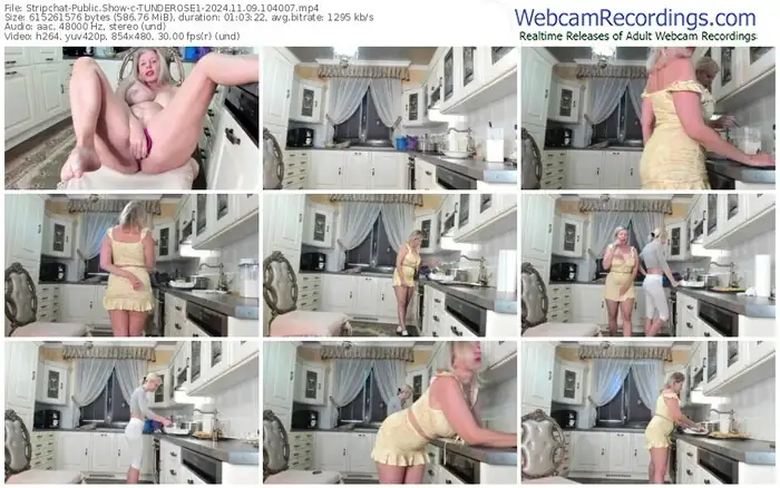 stripchat-tunderose1-11-09-2024-10-40-07