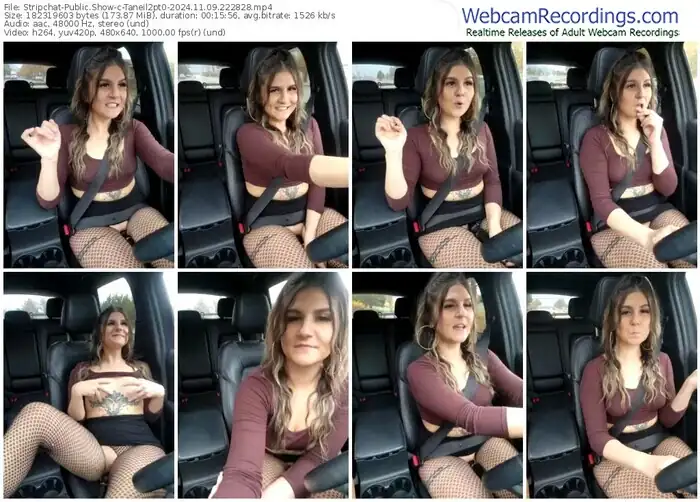 stripchat-taneil2pt0-11-09-2024-22-28-28