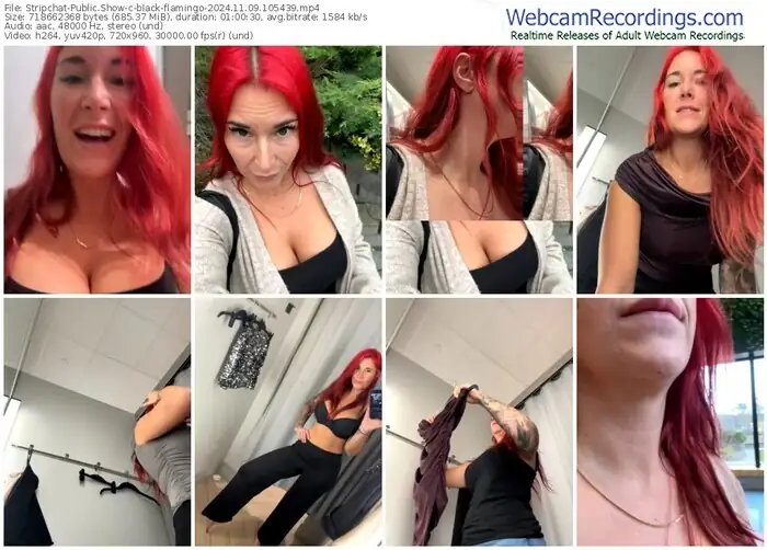 stripchat-black-flamingo-11-09-2024-10-54-39