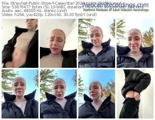 stripchat-caseystar-11-09-2024-08-35-00