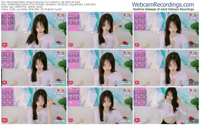 stripchat-gougou-111-11-09-2024-03-41-34