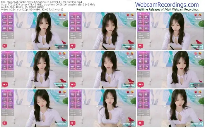 stripchat-gougou-111-11-09-2024-06-53-36