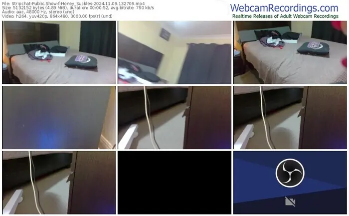 stripchat-honey_suckles-11-09-2024-13-27-09