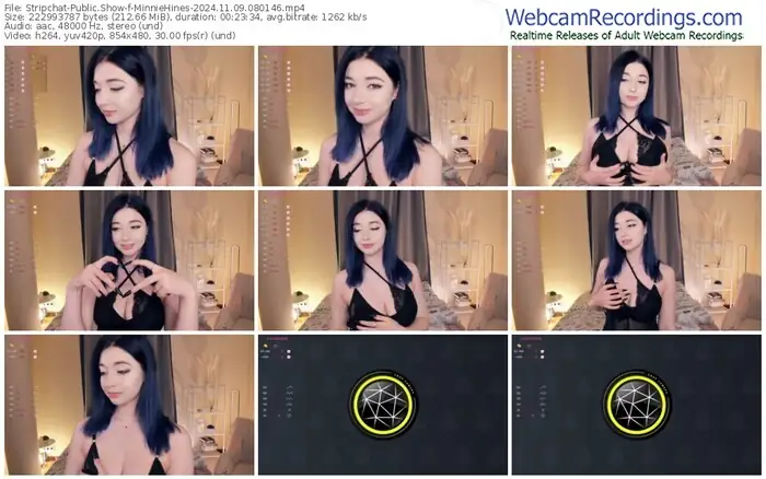 stripchat-minniehines-11-09-2024-08-01-46