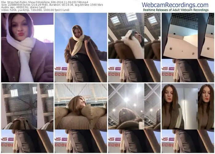 stripchat-morphine_666-11-09-2024-03-17-48