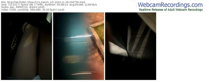 stripchat-oo_kaixin_oo-11-09-2024-09-47-56