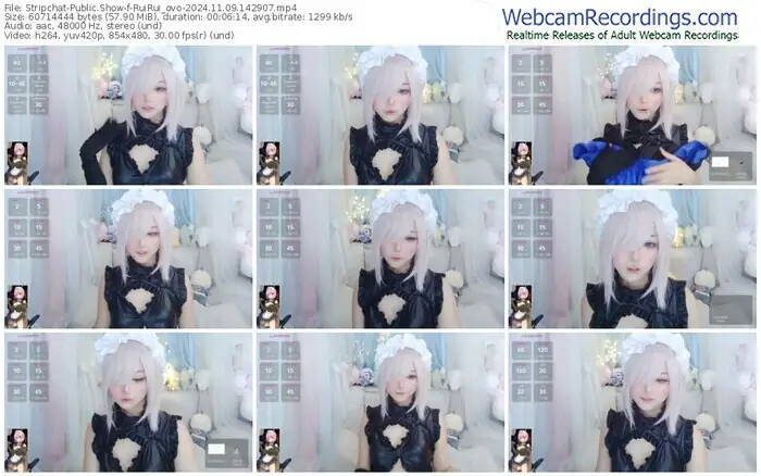 stripchat-ruirui_ovo-11-09-2024-14-29-07