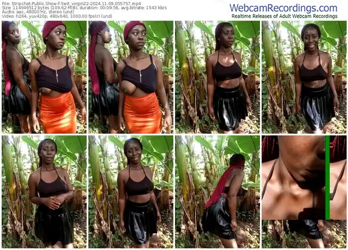 stripchat-swit_virgin22-11-09-2024-05-57-57