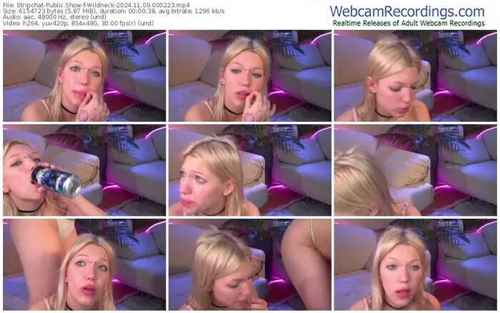 stripchat-wildneck-11-09-2024-00-02-23