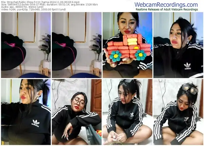 stripchat-xxx_harna-11-09-2024-06-32-19