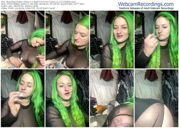 stripchat-1-800-fuckyou-11-10-2024-02-58-56