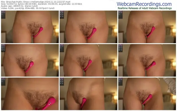 stripchat-hellohodge-11-10-2024-22-22-37