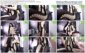 stripchat-angrybirds00-11-10-2024-13-15-39