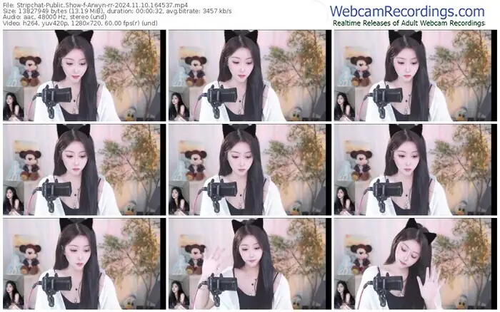 stripchat-arwyn-rr-11-10-2024-16-45-37