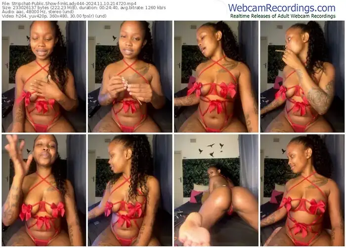 stripchat-inklady444-11-10-2024-21-47-20