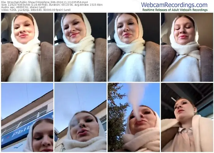 stripchat-morphine_666-11-10-2024-03-53-54
