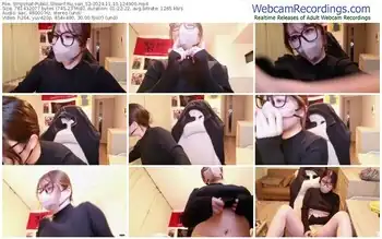 stripchat-ru_san_s2-11-10-2024-12-49-00