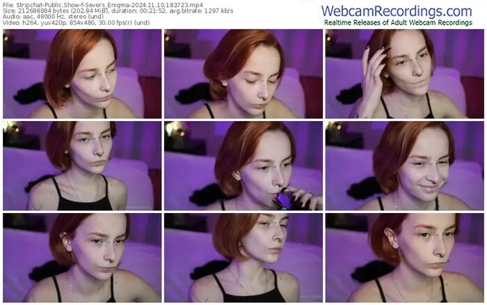 stripchat-severs_enigma-11-10-2024-18-37-23