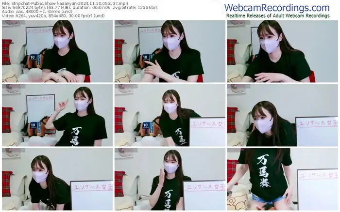 stripchat-aaanyan-11-10-2024-05-51-37