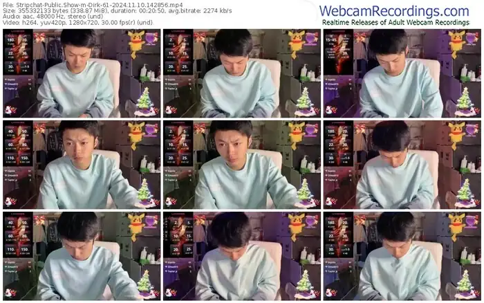 stripchat-dirk-61-11-10-2024-14-28-56