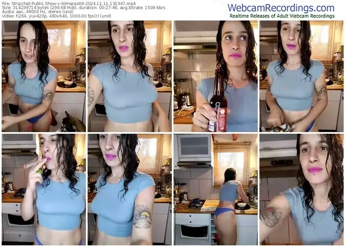 stripchat-69haras69-11-11-2024-13-19-47