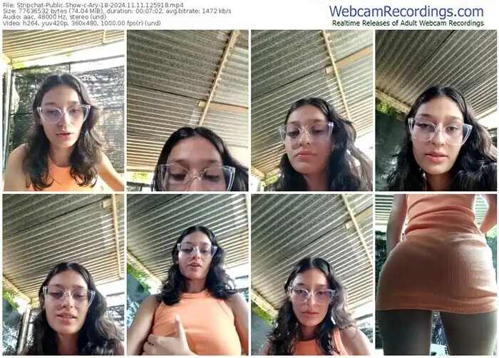 stripchat-ary-18-11-11-2024-12-59-18