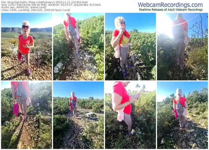 stripchat-nathotsexy1-11-11-2024-12-23-04