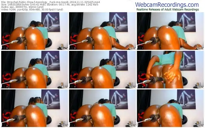 stripchat-assiology__fuck-me-good1-11-11-2024-02-54-25