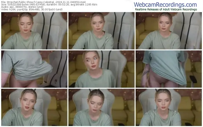 stripchat-cassy-celestial_-11-11-2024-04-06-53