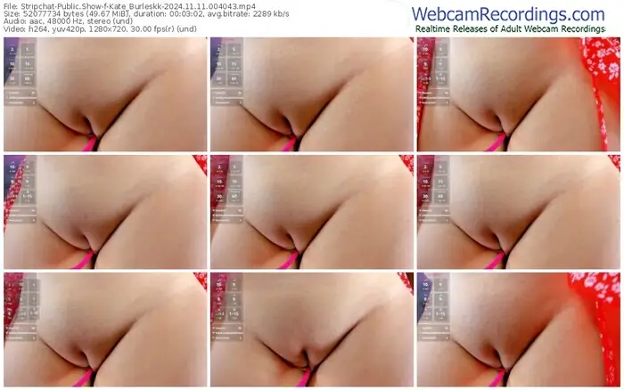 stripchat-kate_burleskk-11-11-2024-00-40-43