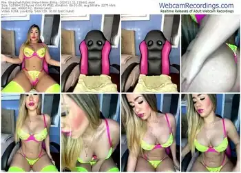 stripchat-miss_erika_-11-11-2024-13-34-01