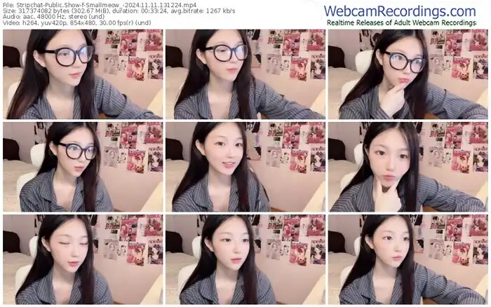 stripchat-smallmeow_-11-11-2024-13-12-24