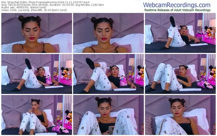 stripchat-vanesamonroe-11-11-2024-23-27-07