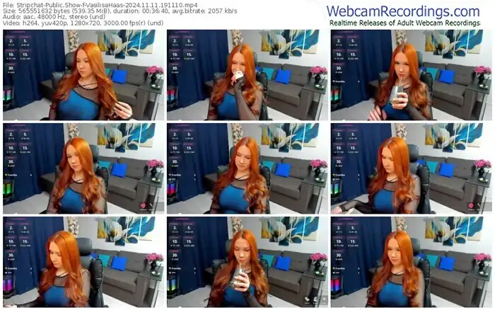 stripchat-vasilisahaas-11-11-2024-19-11-10