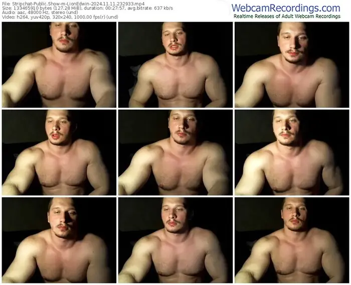 stripchat-lionedwin-11-11-2024-23-29-33