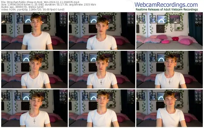 stripchat-nick_win-11-11-2024-09-46-35