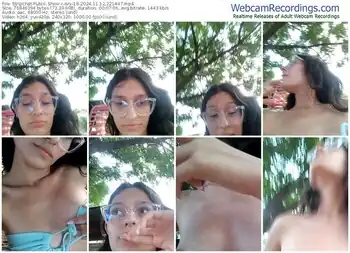 stripchat-ary-18-11-12-2024-22-14-47