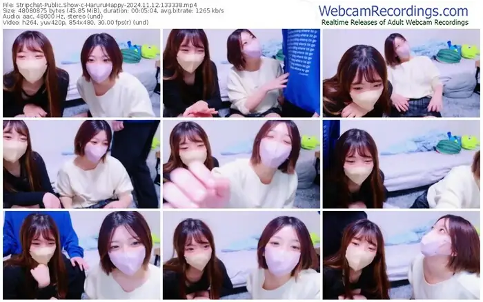 stripchat-haruruhappy-11-12-2024-13-33-38