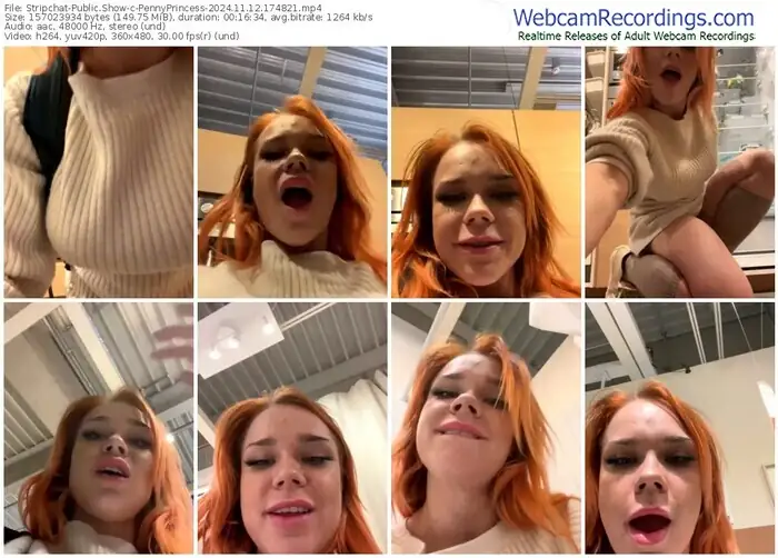 stripchat-pennyprincess-11-12-2024-17-48-21