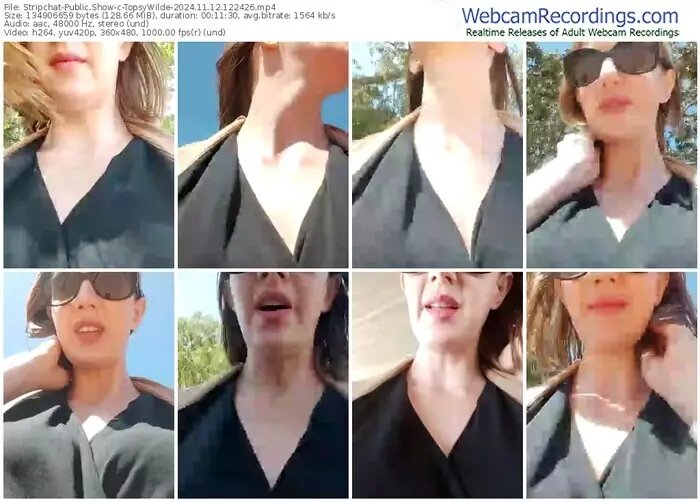 stripchat-topsywilde-11-12-2024-12-24-26