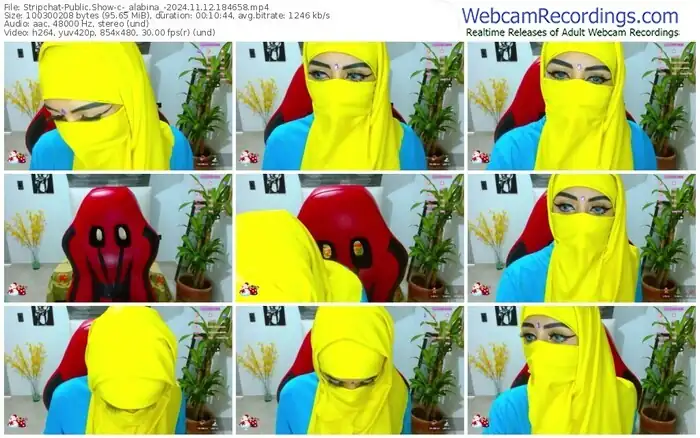 stripchat-_alabina_-11-12-2024-18-46-58