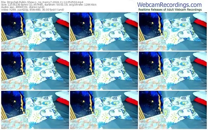 stripchat-_no_mercy7-11-12-2024-05-25-02