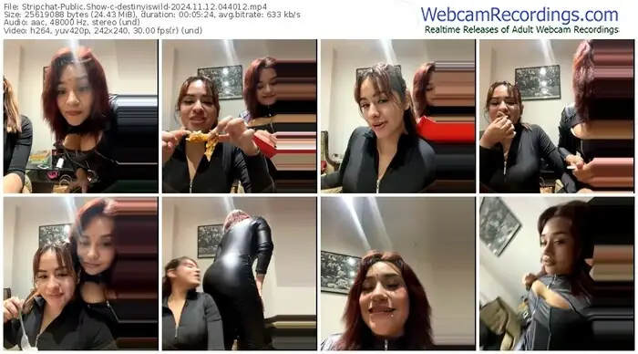 stripchat-destinyiswild-11-12-2024-04-40-12