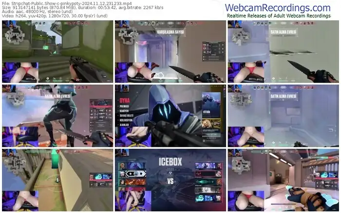 stripchat-pinkypoty-11-12-2024-23-12-33