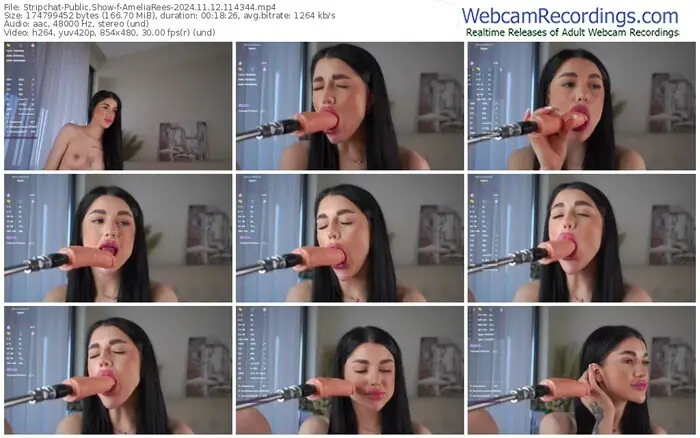 stripchat-ameliarees-11-12-2024-11-43-44