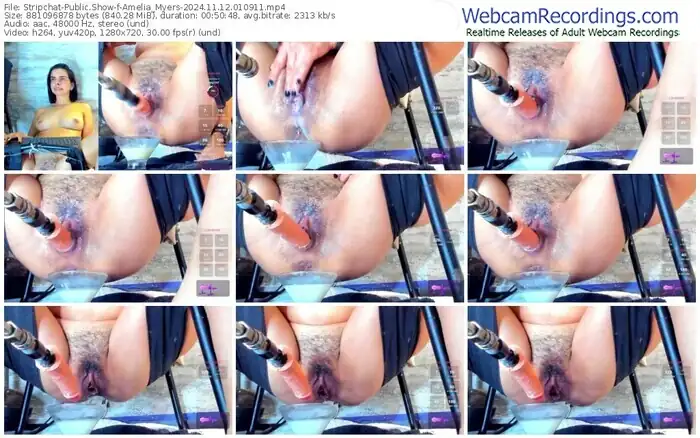 stripchat-amelia_myers-11-12-2024-01-09-11