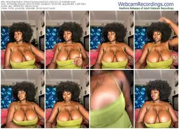 stripchat-honeycoco0211-11-12-2024-04-42-46