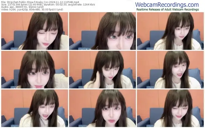 stripchat-koala_cici-11-12-2024-11-05-48