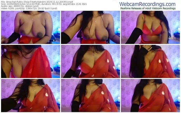 stripchat-nottynandini-11-12-2024-20-43-53