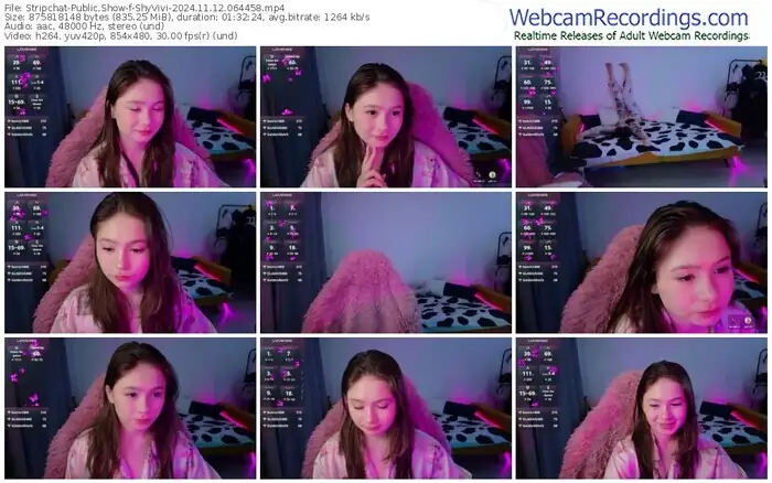 stripchat-shyvivi-11-12-2024-06-44-58